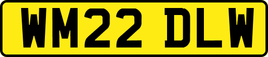 WM22DLW