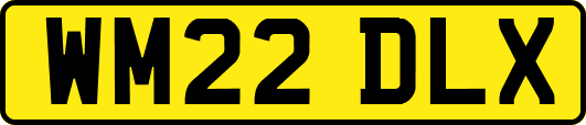 WM22DLX