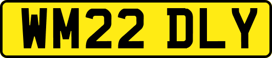 WM22DLY