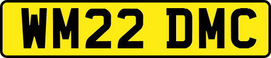 WM22DMC