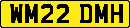 WM22DMH