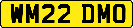 WM22DMO