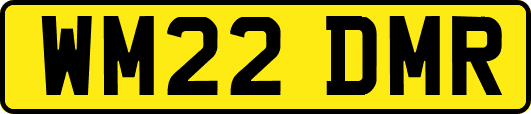 WM22DMR