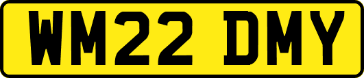 WM22DMY