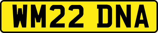 WM22DNA