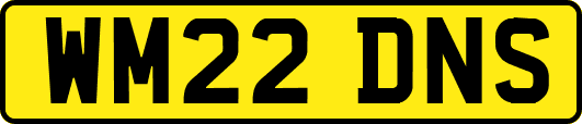 WM22DNS