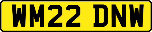 WM22DNW