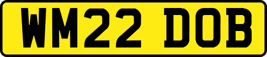 WM22DOB