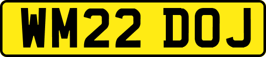 WM22DOJ