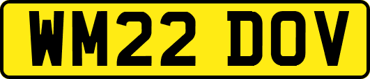 WM22DOV