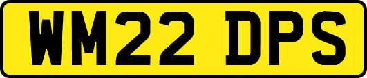 WM22DPS