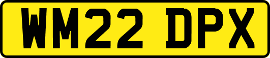 WM22DPX