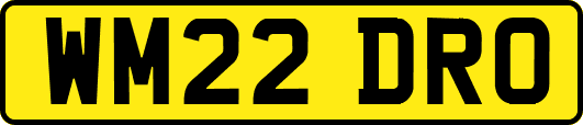 WM22DRO
