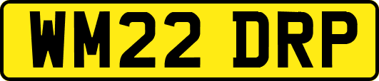 WM22DRP