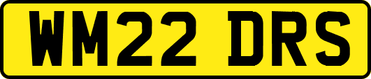 WM22DRS
