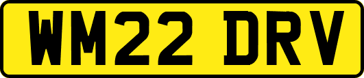 WM22DRV