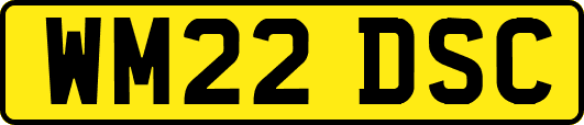WM22DSC