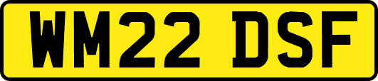 WM22DSF