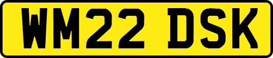 WM22DSK