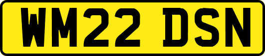 WM22DSN