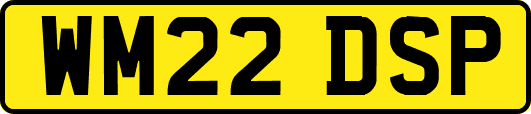 WM22DSP
