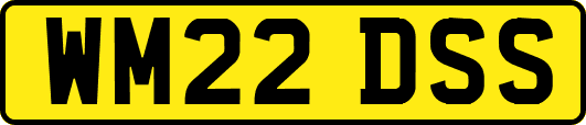 WM22DSS