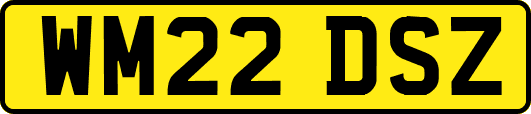 WM22DSZ