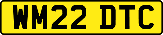 WM22DTC
