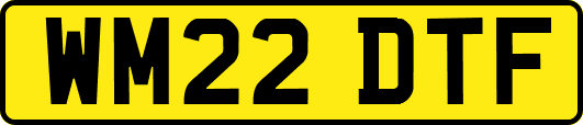 WM22DTF