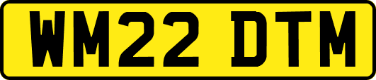 WM22DTM