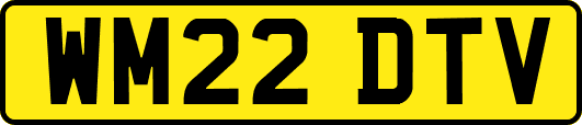 WM22DTV