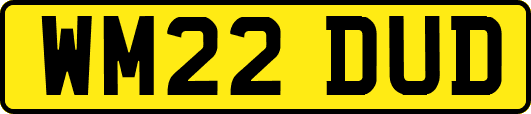 WM22DUD