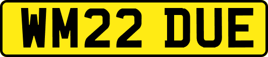 WM22DUE