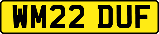 WM22DUF