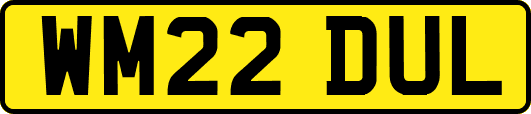WM22DUL