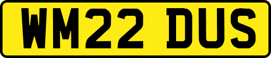 WM22DUS