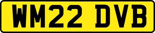 WM22DVB