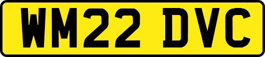 WM22DVC