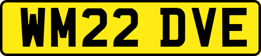 WM22DVE