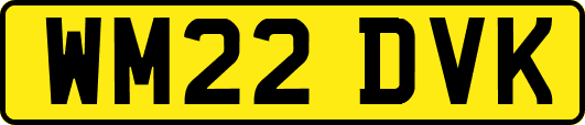 WM22DVK