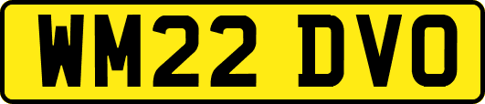 WM22DVO