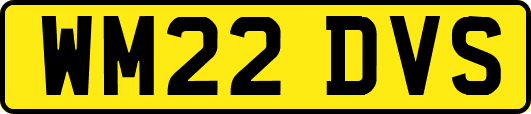 WM22DVS