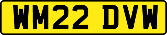 WM22DVW