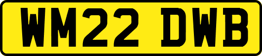 WM22DWB