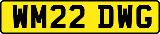 WM22DWG