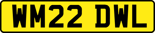 WM22DWL