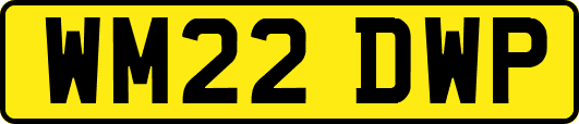 WM22DWP