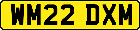 WM22DXM