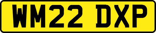 WM22DXP