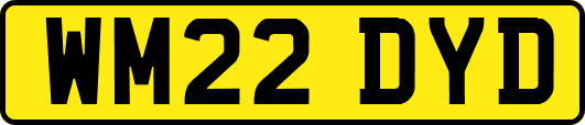 WM22DYD